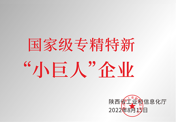 國家級專精特新“小巨人”企業(yè)